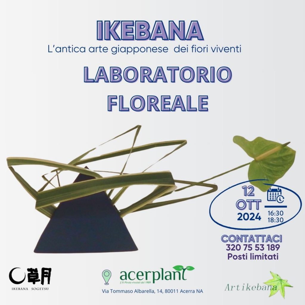 Copia di grafica ikebana U